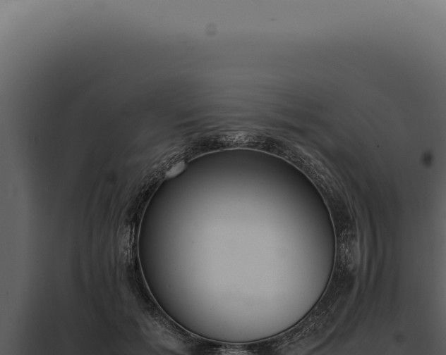X0000097980605200804011746