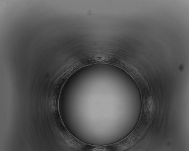 X0000097980606200804011746