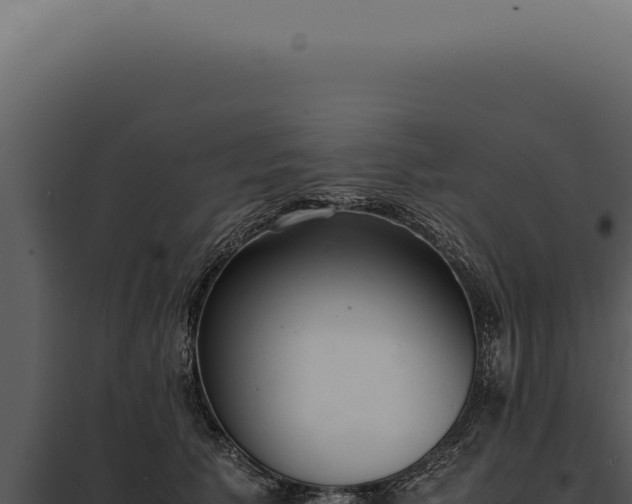 X0000097980609200804011746