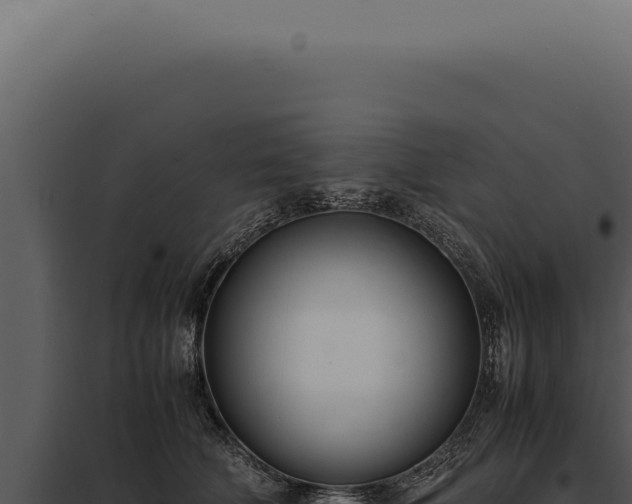 X0000097980610200804011746