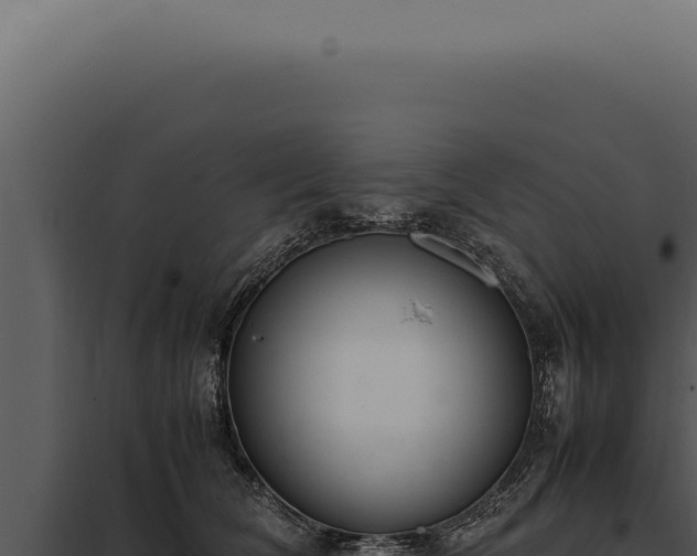 X0000097980612200804011746