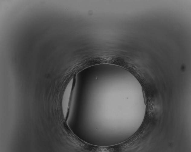 X0000097980613200804011746