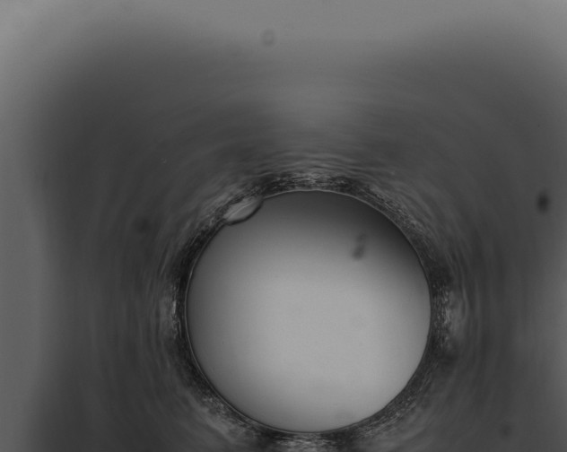 X0000097980615200804011746