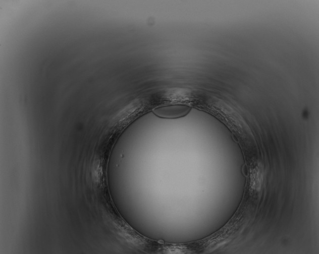 X0000097980618200804011746