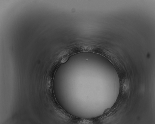 X0000097980619200804011746