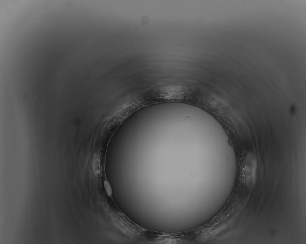 X0000097980620200804011746