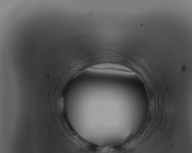 X0000097980621200804011746