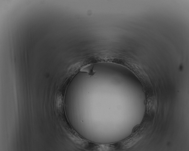X0000097980623200804011746