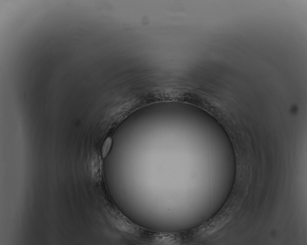 X0000097980624200804011746
