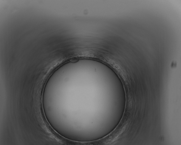 X0000097980625200804011745