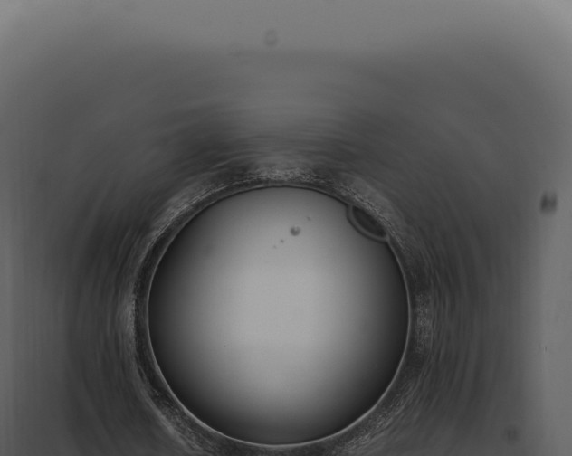 X0000097980626200804011745