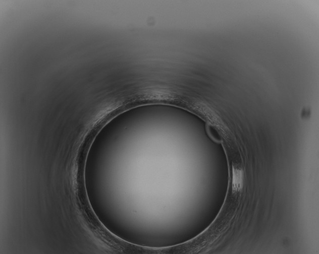 X0000097980627200804011745