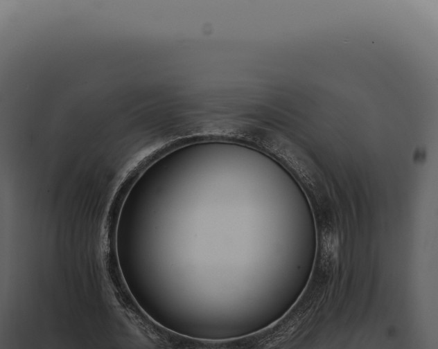 X0000097980628200804011745