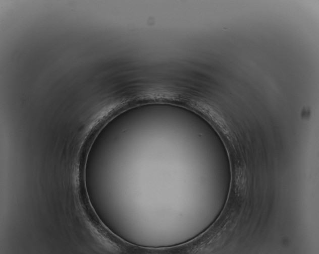 X0000097980629200804011745