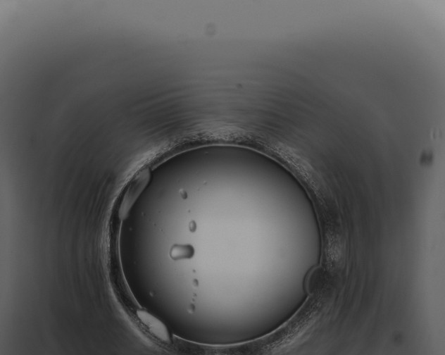 X0000097980630200804011745
