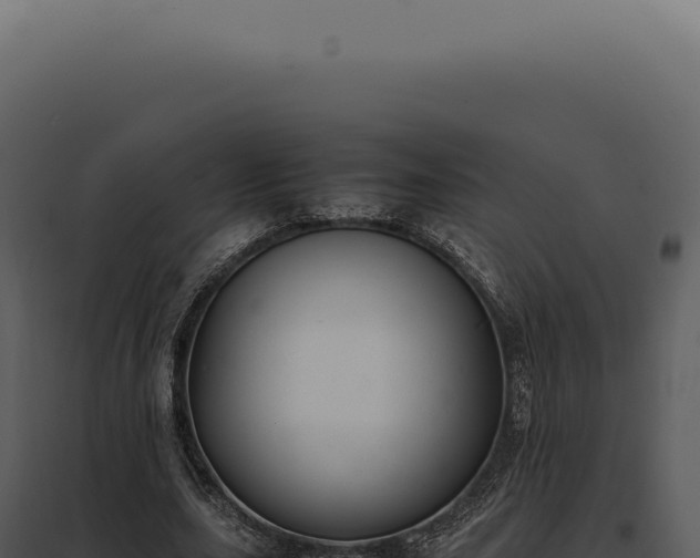 X0000097980631200804011745