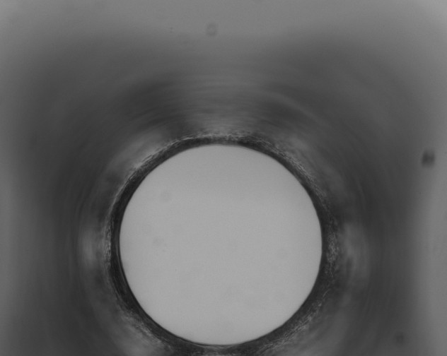 X0000097980632200804011745