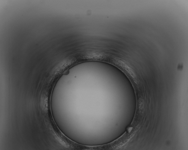 X0000097980633200804011745