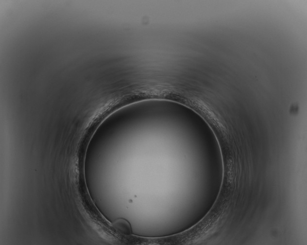 X0000097980634200804011745