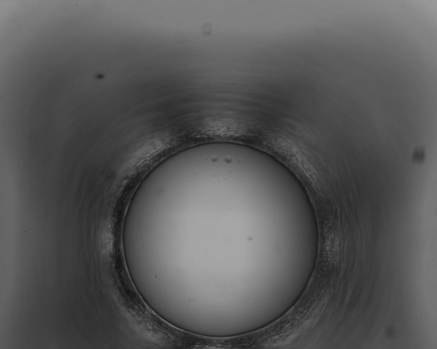 X0000097980635200804011745
