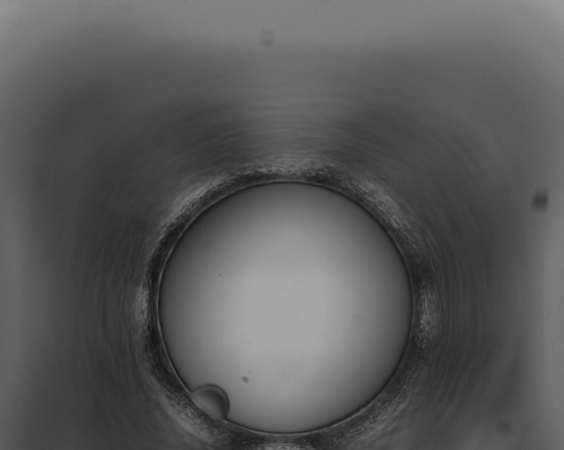 X0000097980636200804011745
