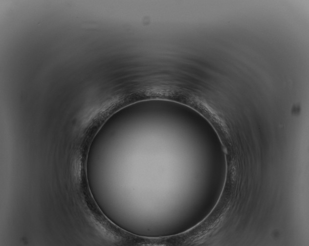 X0000097980637200804011745