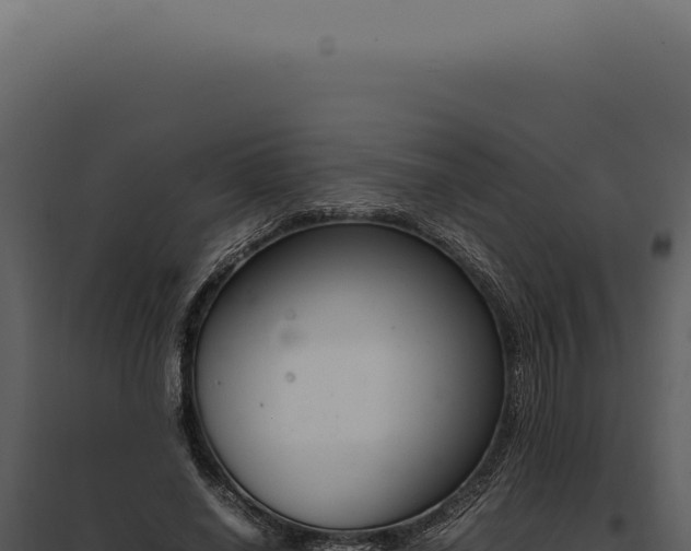 X0000097980638200804011745