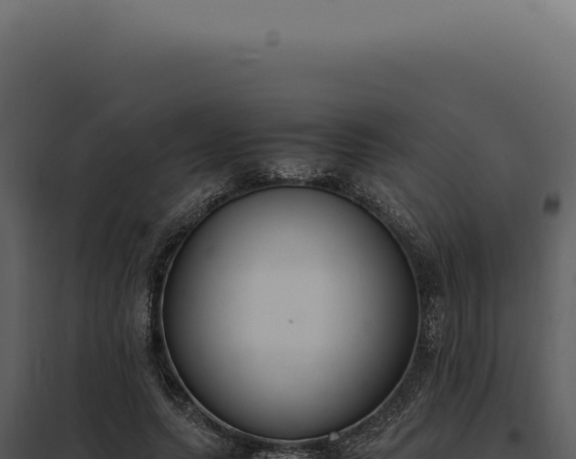 X0000097980639200804011745