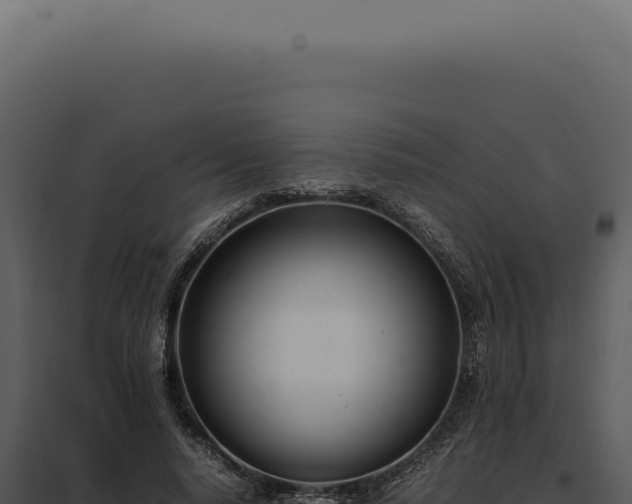 X0000097980640200804011745