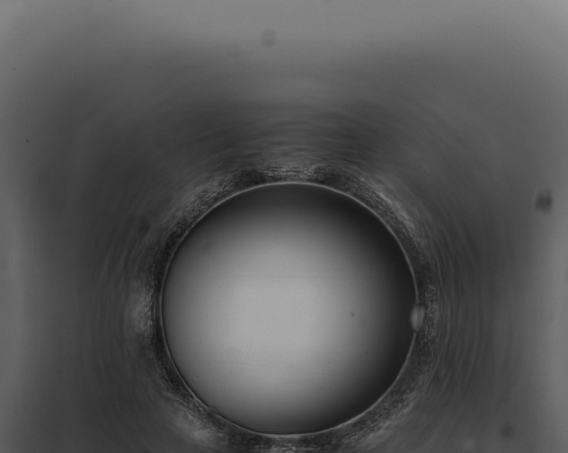 X0000097980641200804011746