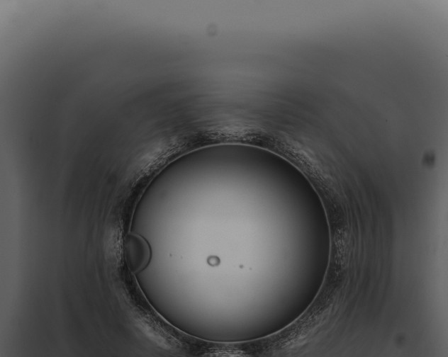 X0000097980642200804011746