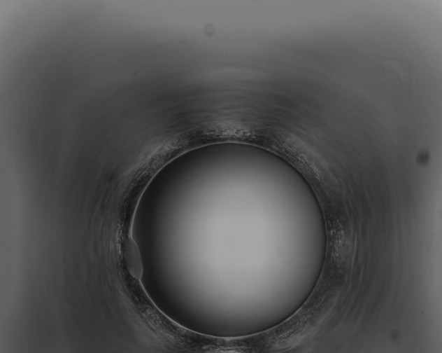 X0000097980643200804011746