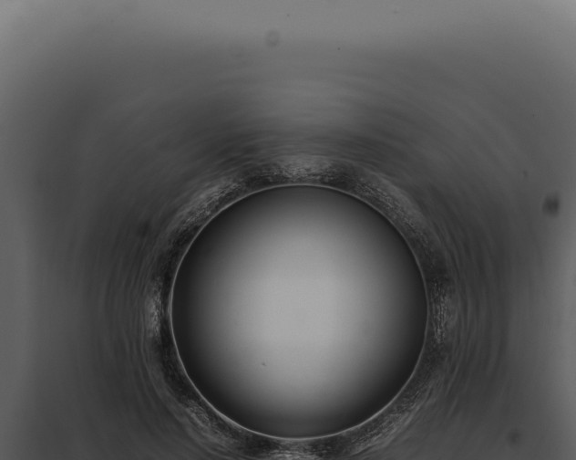 X0000097980644200804011746
