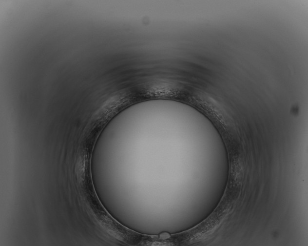 X0000097980645200804011746
