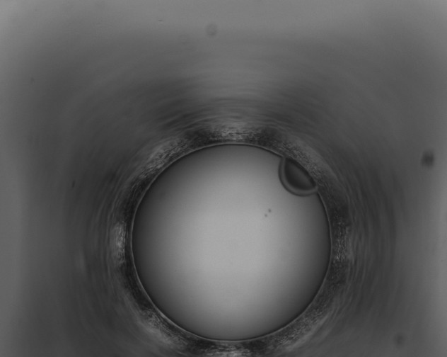 X0000097980646200804011746