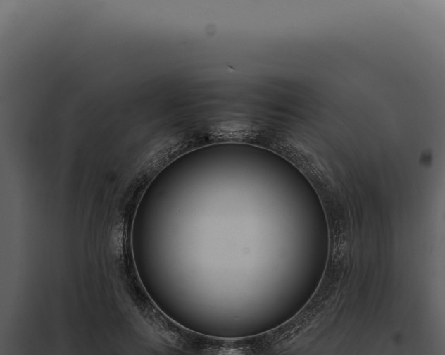 X0000097980647200804011746