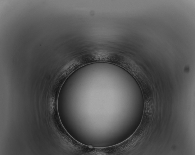 X0000097980648200804011746