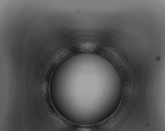 X0000097980649200804011746
