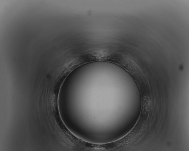 X0000097980650200804011746