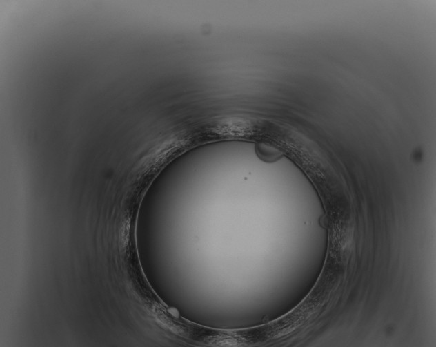 X0000097980652200804011746