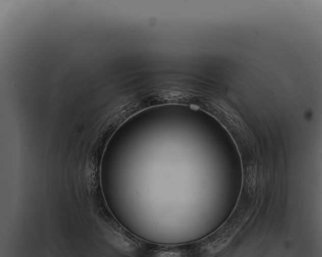 X0000097980653200804011746