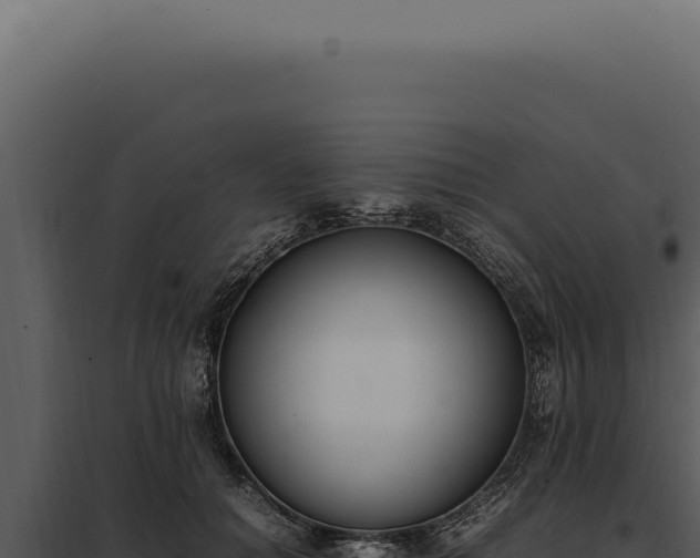 X0000097980654200804011746