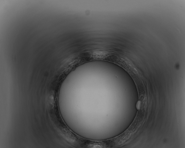 X0000097980655200804011746