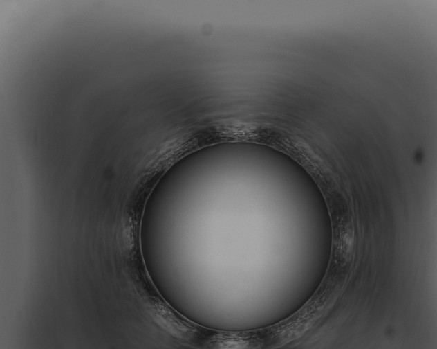 X0000097980658200804011746