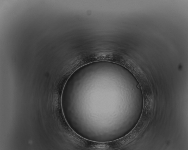 X0000097980659200804011746