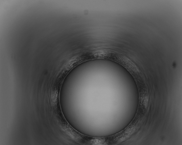 X0000097980660200804011746