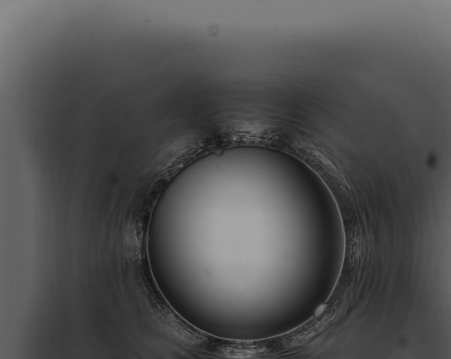 X0000097980661200804011746