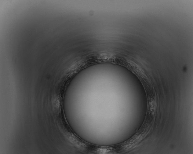 X0000097980662200804011746