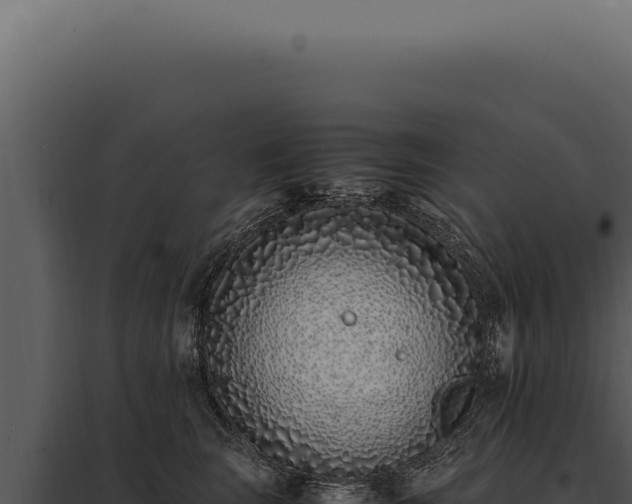 X0000097980663200804011746