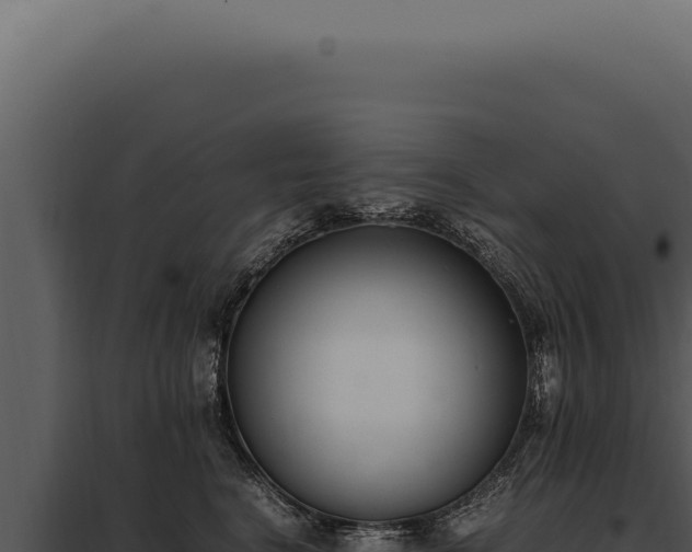 X0000097980664200804011746